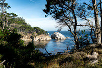 Point Lobos